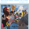 Neo Soul Singer